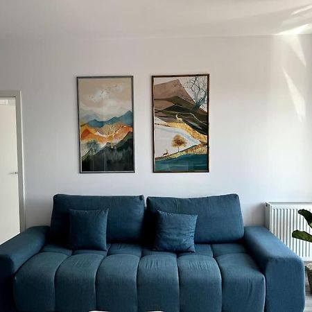 בראשוב Seville Studio Cu Terasa & Vedere La Munte מראה חיצוני תמונה