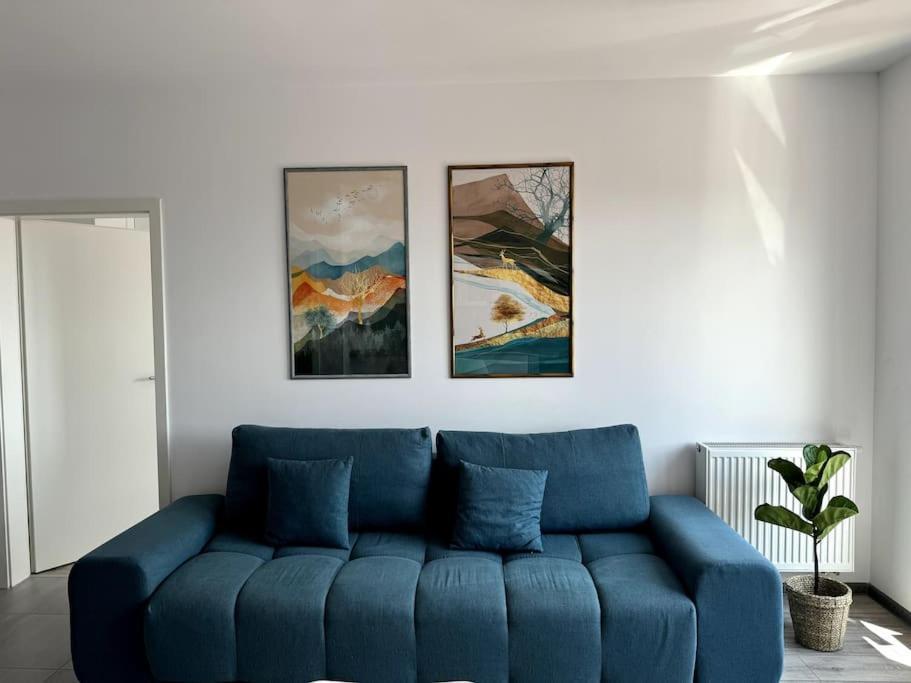 בראשוב Seville Studio Cu Terasa & Vedere La Munte מראה חיצוני תמונה
